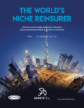 The World's Niche Reinsurer